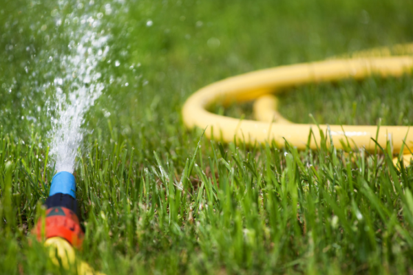 Das richtige Wasser für den Garten